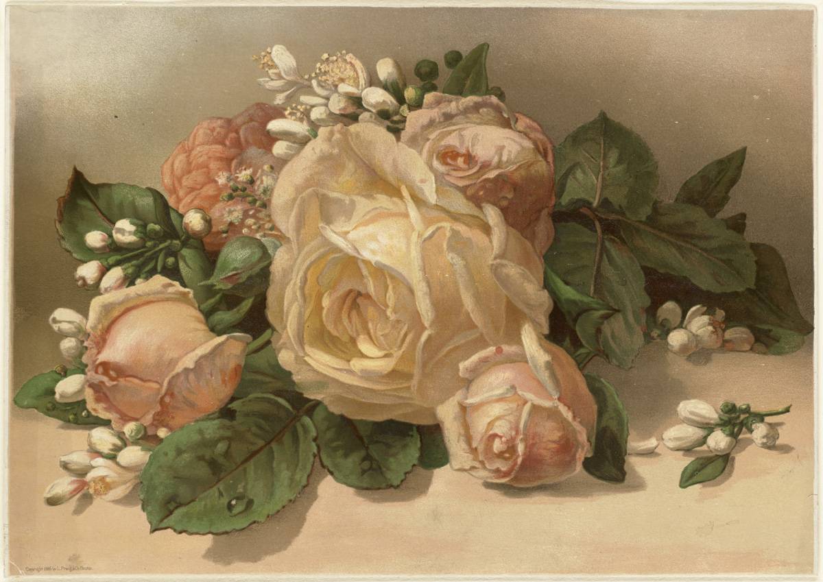 L. Prang & C (1886)