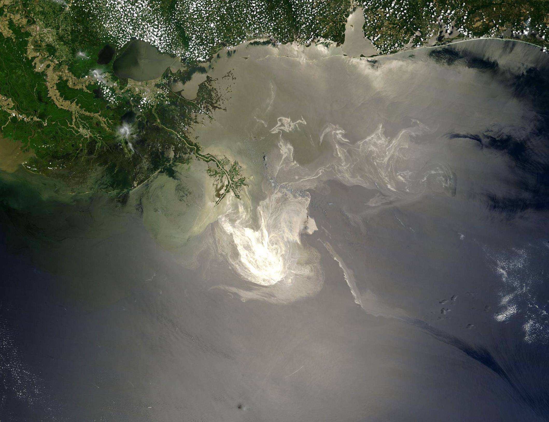 NASA/GSFC, MODIS (2010)