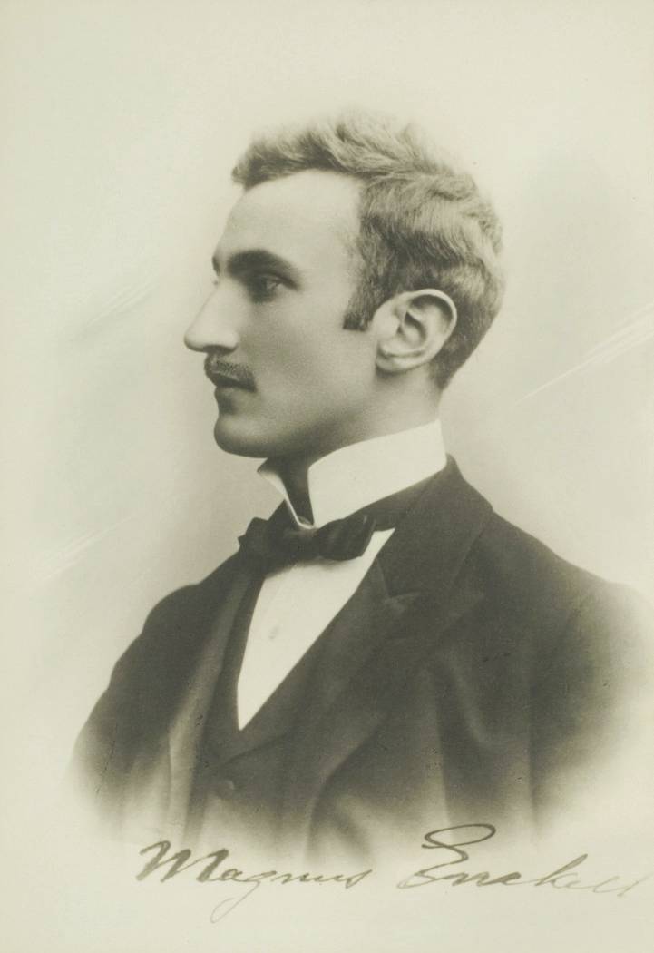 Magnus Enckell (1888-1891)