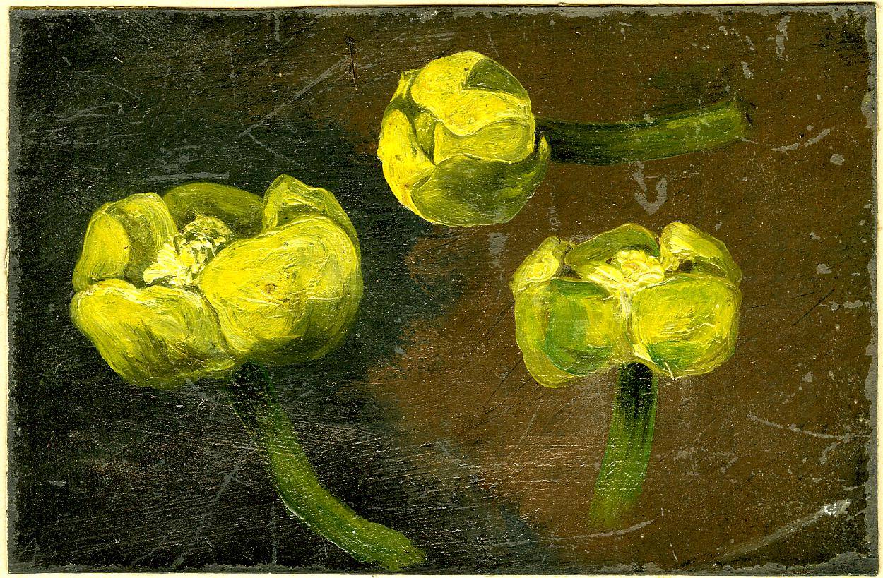 John Constable ()